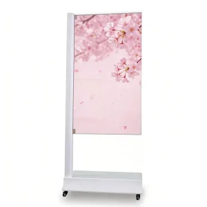 Smart LED Self Luminous Transparent Display Touch Interactive 55″ Screen with Animation & SDK for New Retail Experience Showcase
