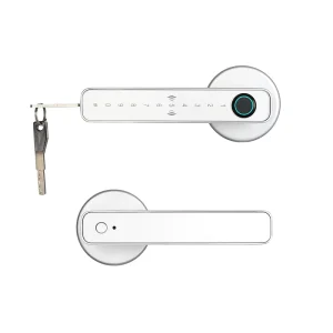 Smart Lock Door with Card Access Oem Smart Door Lock Security Smart Door Handle Lock with Fingerprint