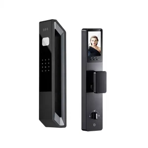 Smart Lock Fully Automatic Model SK-A16 AI Palm-Vein Facial Recognition Cloud Outdoor Wood Lock Universal Anti-Theft Fingerprint