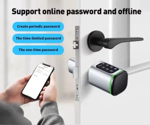 Smart Lock Tuya Application Adjustable Cylinder Size Household Smart Door Lock Aluminum Alloy Stainless Steel Door
