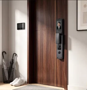 Smart Lock with Fingerprint Password IC Card Mechanical Key & DingDing App Control for Wood Door Zinc Alloy