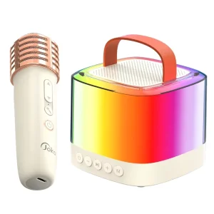 Smart Outdoor Mini Party Bass HIFI BT Speaker with Microphone Home Wireless Karaoke Smart Speakers
