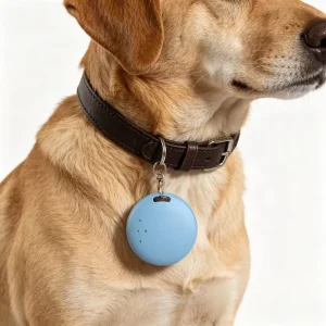 Smart Pet Anti Lost Tag Dual System Two Way Alarm Cloud Dog Cat Bluetooth IOS Android