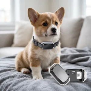 Smart Pet GPS Dog Cat Anti Lost Waterproof Pet Locator with Health Monitoring Real Time Tracking for IOS Android System