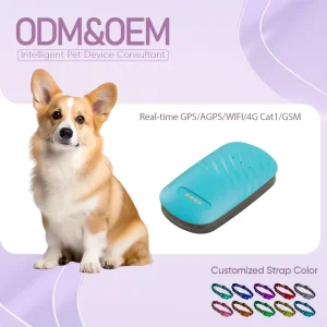 Smart Pet GPS Tracker 4G Real Time Location Rechargeable Anti Lost Device with Activity Monitoring