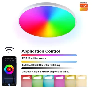 Smart RGB LED Ceiling Light Fixture 220V/110V 13 Inch 24W Dimmable Lamp Alexa Home Remote Slim Mount Design Sensor WiFi Tuya