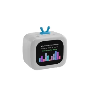 Smart Speaker with Screen Portable Subwoofer with Lyrics Display and Multi Language Support