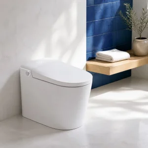 Smart Toilet Health Check Electric Bidet WC with Heated Seat Sensor Flush Remote Control and Modern Bathroom Design
