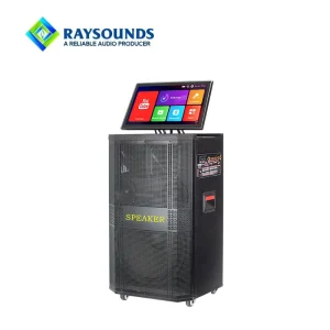 Smart Touch Screen Trolley Speaker with Android WiFi YouTube Wireless Microphone Outdoor Battery Video Player PA System