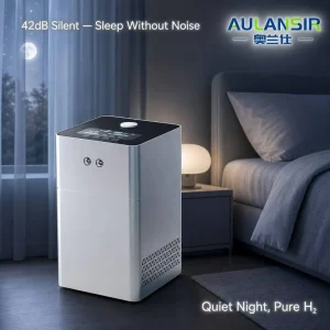 Smart Voice Reminders Quiet Operation Hydrogen Oxygen Machine Providing Hydrogen Therapy to the Elderly at Cost Price Anti aging