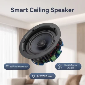 Smart WiFi Active Ceiling Speaker System with Digital Class D Amplifier Multi Room App Control