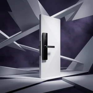 Smart WiFi Cloud Door Lock K16 Support Remote Unlock Fingerprint Password Card Face ID Smart Home Memory Card App