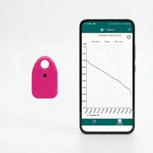 Smart Wireless Temperature Humidity Sensor with Ble Data Logging Function for Home Room Monitor