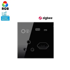 Smart ZigBee USB Industrial Wall Socket for South Africa SA 2 Outlet Wireless Smart Plug with Power Monitoring