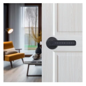 Smartlock Fingerprint Door Lock System Inteligente WiFi Network Code De Verrouillage Bloqueio De Portas