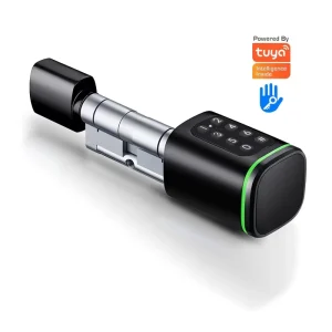Smartstone European Aluminum Alloy Cylinder Lock Keyless Tuya TTlock APP for Password Smart Lock for Aluminum Wood Doors