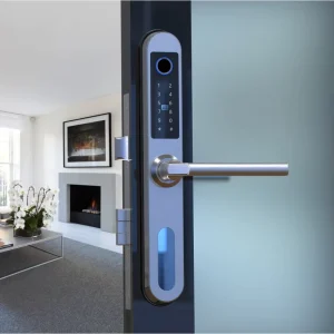 Stainless Steel 304 Digital Smart Door Lock WiFi Memory Card for Wooden/Sliding/Brass High Quality Waterproof Fingerprint Lock