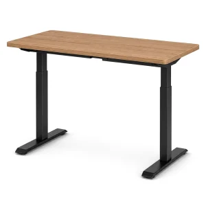 Standard Column Hidden Dual Motor Electric Standing Desk 2 Stage Height Adjustable Desk Ergonomic Sit Stand Office Workstation