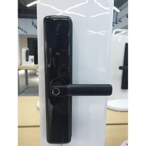 Steel Door Smart Lock Fingerprint Digital Password Zinc Alloy Apartment Home Room Tuya Smart TTLock APP Memory Card Key Hotels