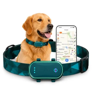 Step Counter Real Time Positioning Rest Time Monitoring Geo Fence GPS Fast Positioning Gps Pet tracker Animal Collar