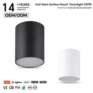 Surface Mounted Minimalist Smart Control LED Downlight Tunable White 30W AluminumCeiling 5 Year Warranty IP20 120 Degrees Beam
