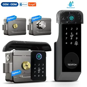 Tediton Waterproof 2 Sides Dual FingerPrint Tuya Ttlock Exterior Smart Door Lock Digital Electronic Main Gate Electric Locks
