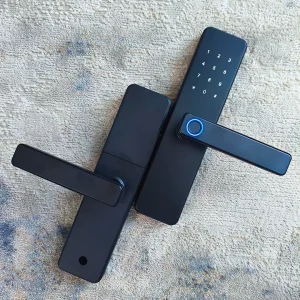 Ten Language Support Digital Safe Biometrics Fingerprint Smart Door Lock for Exterior Door
