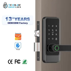 Top Quality Customized Aluminum Alloy Electronic Home Use Smart Digital Door Lock Fingerprint Password Lock