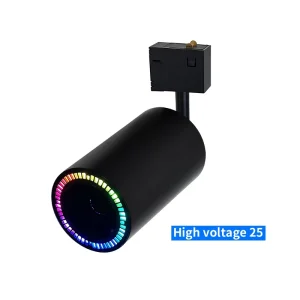 Top Selling 48V 220V Mobile App Control Audio Music System Smart Tuya Wifi Bt Dimmable Led Magnetic Track Spotlight Living Room