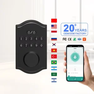Touch Panel Smart Lock Wood/Steel/Aluminum Door Home Security Password Fingerprint Unlock IP Network CE Certified Adjustable