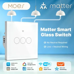Tuya Matter WiFi Smart Light Glass Touch Switch Neutral Wire Optional Work with Alexa Google Homekit Apple Smartthings
