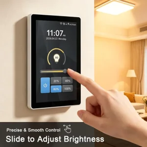 Tuya Smart Home LCD Touch Panel 1 Gang Smart Dimmer Wall Light Switch Tuya WiFi Zigbee Compatible with Alexa Google Home