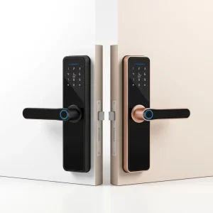 Tuya Smart Lock Door WiFi IC Biometric Tuya App Remote Control Keyless Digital Fingerprint Smart Door Lock