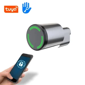 Tuya Ttlock App Unlock Smart Electronic Cylinder Lock IP65 Waterproof Zinc Alloy Wood Door Smart Code Password IC Card