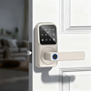 Tuya WiFi Cloud Smart Door Handle Lock US Standard Single Latch Keyless Deadbolt Wooden Door Anti theft Password