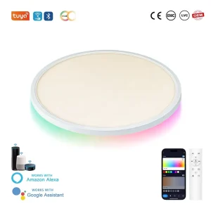 Tuya WiFi RGB 30CM Flush Mount LED Smart Surface-Mounted Lights Music Sync Remote App Control Voice Control Residential