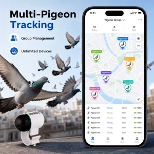 Ultra Light 2.2g Eco-Friendly Smart GPS Tracker for Pigeons and Birds with APP Real-Time Monitoring and IP67 Waterproof Design