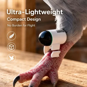 Ultra Light 2.2g Eco-Friendly Smart GPS Tracker for Pigeons and Birds with APP Real-Time Monitoring and IP67 Waterproof Design