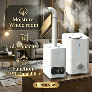 Ultrasonic CE Certificate Aroma Humidifying 2 in 1 6L Large Capacity Commercial Hotel For Home Use Air Humidifier Manufacturer