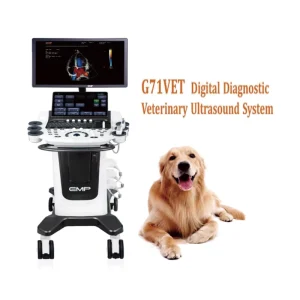 Veterinary Ultrasound Machine with Elastography 13.3 Inch Touch Panel Tissue Doppler Imaging for Vet Hospital Equine Bovine