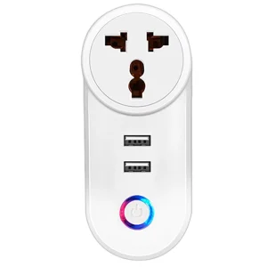 Vietnam India South Africa Tuya Smart Outlet Electrical Plug Home Wifi Smart Plug With Dual Usb