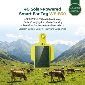 WES Solar 4G GPS Ear Tag WE B30 Smart Livestock Tracker IP65 7 Day Standby for Cattle Cow Sheep Ranch Management System