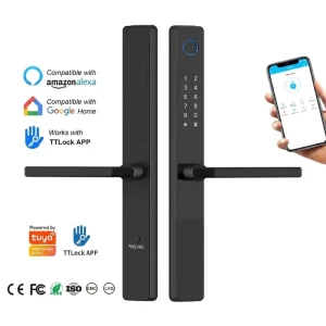 Waterproof Exterior Digital Fingerprint Ble Push and Pull Smart Lock Electronic Sliding WiFi Smart Door Lock System