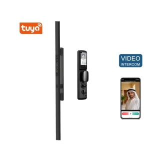 Waterproof Long Handle Smart Door Lock Palm Biometric WIFI Face Recognition Cerradura Intelligent Video Rfid Digital Lock