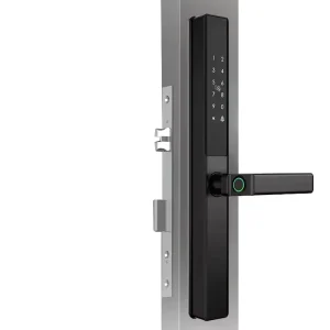 Waterproof Ttlock Tuya App Smart Slim Door Lock Fingerprint Password Card Intelligent Narrow Door Lock for Sliding Villa Door