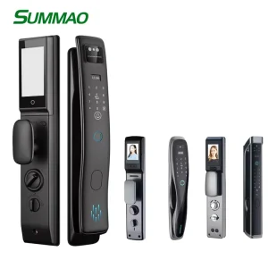 WiFi APP Control Smart Lock Fingerprint Password Face Recognition Mobile Phone Card Key Cloud Data Home Lock
