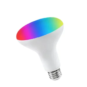 Smart PAR Light Factory Direct, Featuring Dimming, Color Adjustment, Voice Control, Tuya, Wi-Fi, and BR30 Bulb Functionality