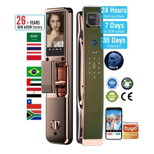 Wood Door Smart Lock Zinc Alloy Electronic Memory Card Storage Steel Door WiFi Connected Stainless Steel Facial Type