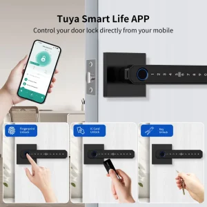Wooden Door Intelligent Lock Biometric Fingerprint Keyless Entry Digital Password Card Access Cloud Storage Aluminum Alloy