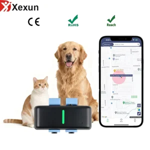 Xexun Custom Logo Ios Android Pet Tracker Long Standby Sports Monitoring Gps Collar With App PC No Monthly Fee